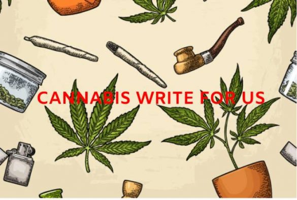 Cannabis Write for Us, Guest Post, And Advertise with us, Contribute