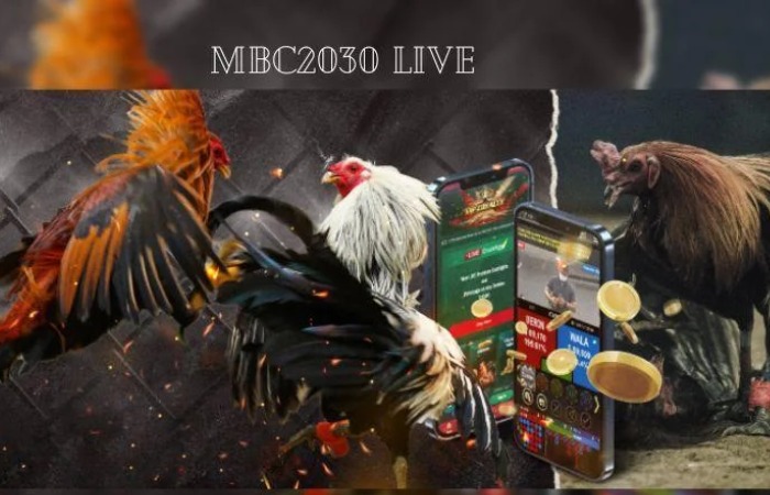 Mbc2030 Live