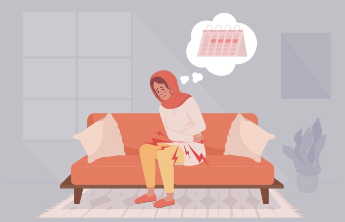 What is the Menstrual Period_